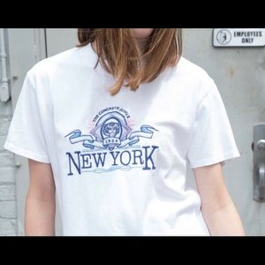 Brandy Melville Cropped T shirt